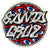 Santa Cruz Skateboard Sticker