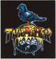 Thrasher & Anti Hero Skateboard Sticker